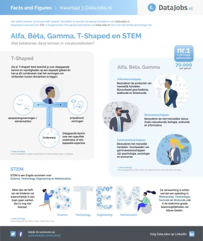 Infographic: Alfa, Bèta, Gamma, T-shaped en STEM