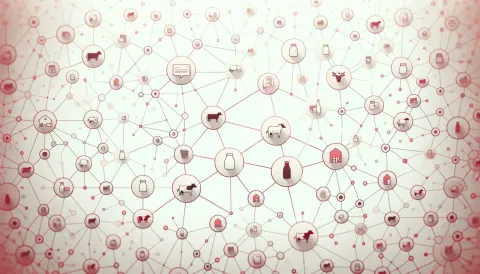 De Onmisbare Schakel: Een Kijkje in de Wereld van een Coordinating Data Steward bij Lely