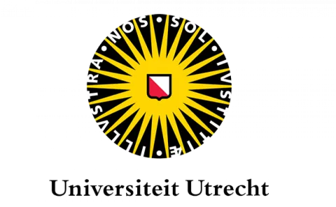 Business Intelligence specialist